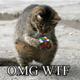 Balfz