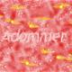adommer