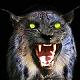 shadowlynx