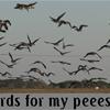 My psp wallpaper birds FTW~!