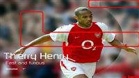 terry terry terry