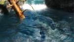 Reel Fishing: Life And Nature