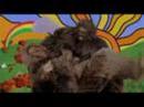 Tenacious D Movie Trailer