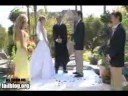 Best Man Fail