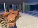 Second Life - Why dont u get a job?