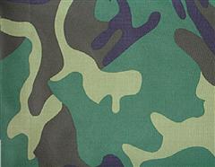 Camoflage for citypsp