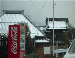 The contrasts of Japan