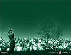 Tiger Woods