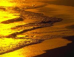 Morning on the Beach