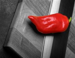 Hot Pepper