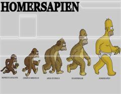 evolution of homer