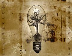 Enlighten