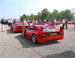 The Ferrari one with all the bad votes 